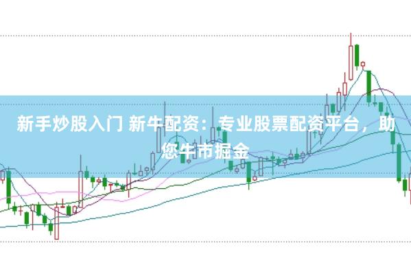 新手炒股入门 新牛配资：专业股票配资平台，助您牛市掘金