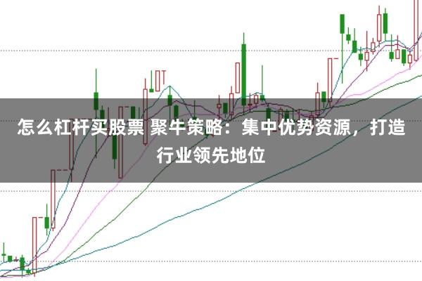 怎么杠杆买股票 聚牛策略：集中优势资源，打造行业领先地位