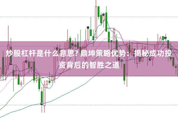 炒股杠杆是什么意思? 鼎坤策略优势：揭秘成功投资背后的智胜之道