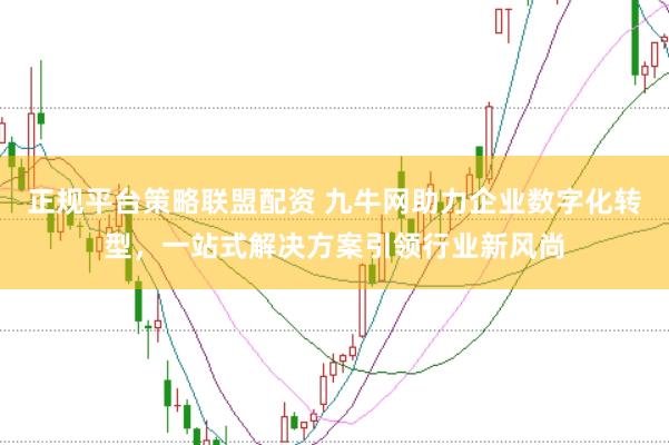 正规平台策略联盟配资 九牛网助力企业数字化转型，一站式解决方案引领行业新风尚