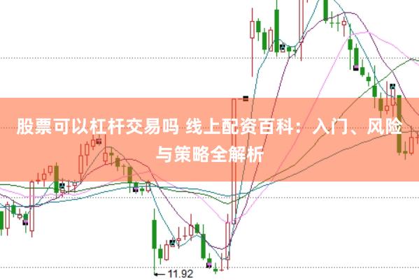 股票可以杠杆交易吗 线上配资百科：入门、风险与策略全解析