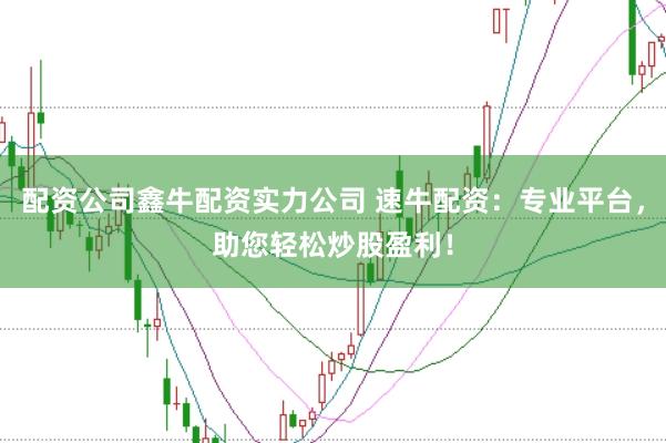配资公司鑫牛配资实力公司 速牛配资：专业平台，助您轻松炒股盈利！