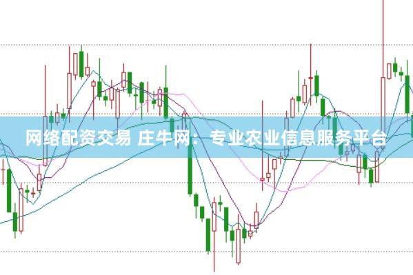 网络配资交易 庄牛网：专业农业信息服务平台