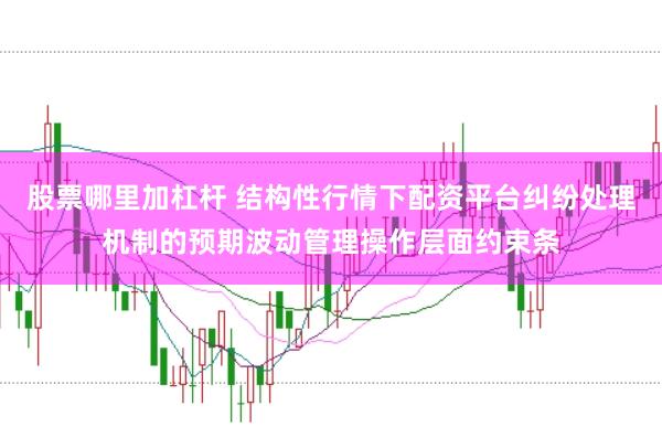 股票哪里加杠杆 结构性行情下配资平台纠纷处理机制的预期波动管理操作层面约束条