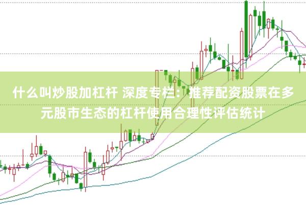 什么叫炒股加杠杆 深度专栏：推荐配资股票在多元股市生态的杠杆使用合理性评估统计