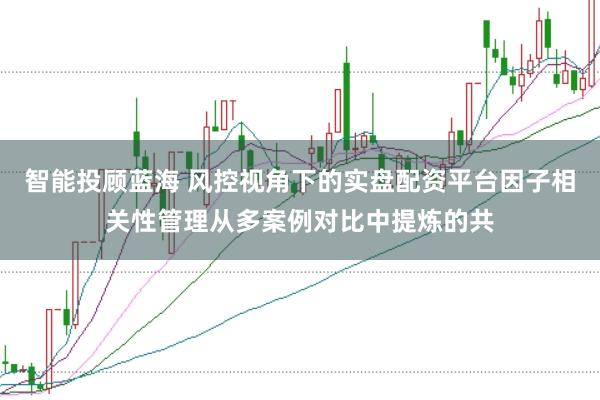 智能投顾蓝海 风控视角下的实盘配资平台因子相关性管理从多案例对比中提炼的共