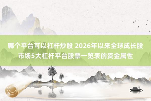 哪个平台可以杠杆炒股 2026年以来全球成长股市场5大杠杆平台股票一览表的资金属性
