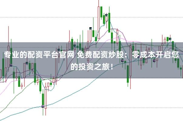 专业的配资平台官网 免费配资炒股：零成本开启您的投资之旅！
