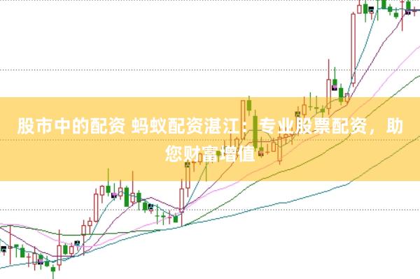 股市中的配资 蚂蚁配资湛江：专业股票配资，助您财富增值